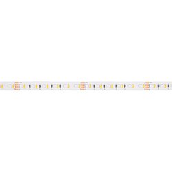 Obrázek pro produkt LED pásek HO 16W/m 1260lm/m RGBW-3000K Ra80 24V IP20 5m - TLG
