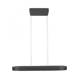 Obrázek pro produkt LED závěsné svítidlo Q-STRETTO, černá, s dálkovým ovladačem, ZigBee, 2700-5000K - PAUL NEUHAUS