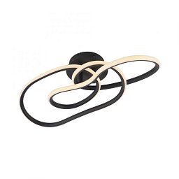 Obrázek pro produkt LED stropní svítidlo TWIST, černá, nastavitelná výška, paměťová funkce, SimplyDim, 2700K - PAUL NEUHAUS