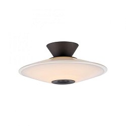 Obrázek pro produkt LED stropní svítidlo, ELIPSA, černá, stmívatelné, opálové sklo, 3000K - PAUL NEUHAUS