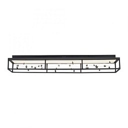 Obrázek pro produkt LED stropní svítidlo SKINA, černá, stmívatelné, dálkový ovladač, paměťová funkce, 2700-5000K - PAUL NEUHAUS