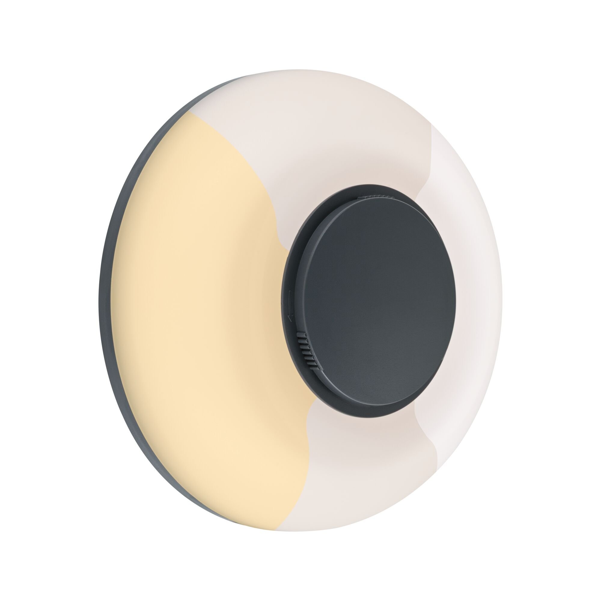 P 94955 LED venkovní nástěnné svítidlo Aureva IP65 kruhové 220mm 2200 - 4000K 20,5W 230V antracit/bílá polykarbonát - PAULMANN
