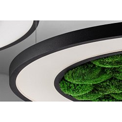 Obrázek pro produkt Závěsné svítidlo Rotao24 LED 30,3W 3800lm 3000K DALI černé s mechem - Halla
