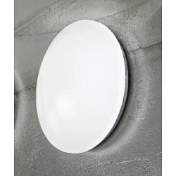 Obrázek pro produkt Stropní / nástěnné svítidlo 1x12W LED, opál sklo, IP44, 35cm - ORION