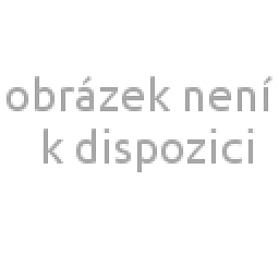 Obrázek pro produkt RON 60/19 stínidlo Plissé černá max. 23W - RED - DESIGN RENDL