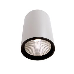 Obrázek pro produkt Stropní svítidlo Luna 20 matná bílá 4000K 19W - DEKOLIGHT