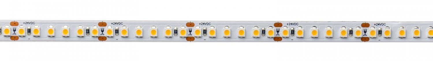 Flexibilní LED pásek 3528 180 24V 2700K 5m - LIGHT IMPRESSIONS Obrázek produktu Flexibilní LED pásek 3528 180 24V 2700K 5m - LIGHT IMPRESSIONS