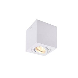 Obrázek pro produkt TRILEDO Single, stropní nástavbové svítidlo, QPAR51, bílá, max. 10W - BIG WHITE (SLV)