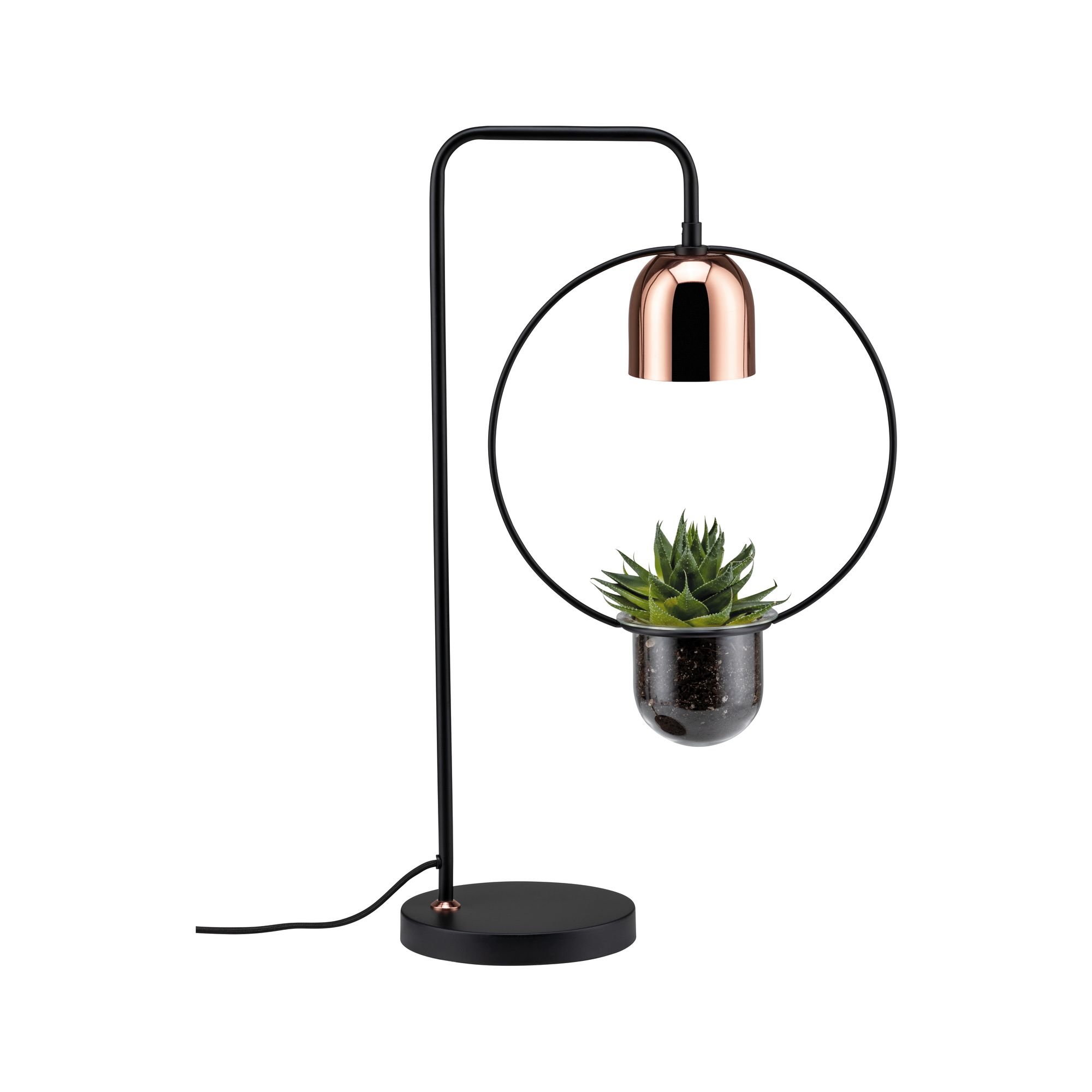 P 79746 Stolní lampa Fanja 1-ramenné pro osvětlení rostlin černá/měď - PAULMANN (obrázek 4)