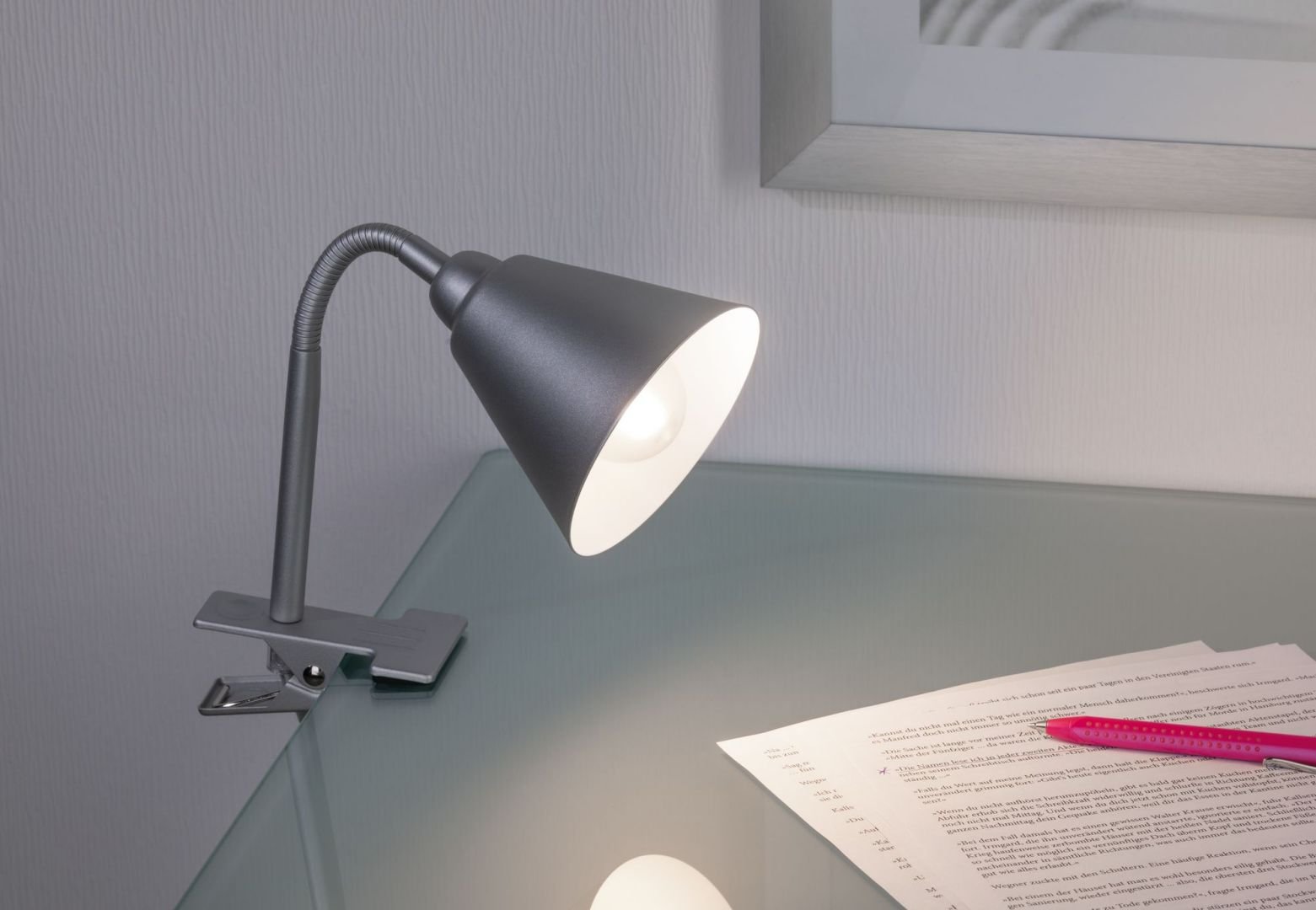 P 95432 Svítidlo se skřipcem Vitis Flexarm E14 šedá a šňůrový vypínač - PAULMANN (obrázek 2)