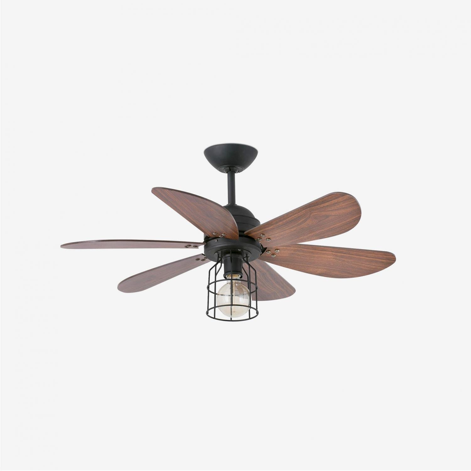 Faro 33703