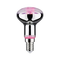 Obrázek pro produkt LED Grow Green žárovka pro podporu růstu rostlin R50 E14 4W - PAULMANN
