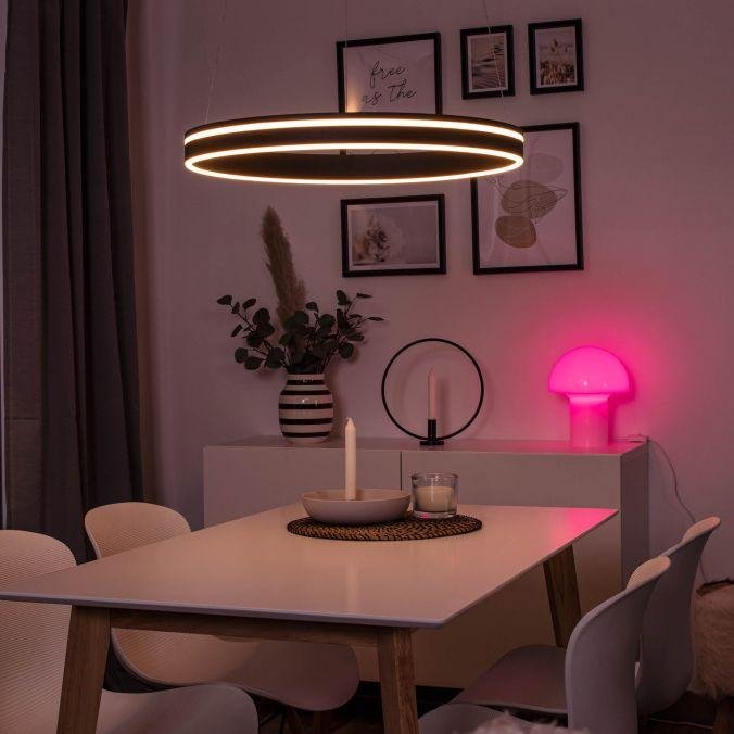 PN 8411-13 Q-VITO, LED závěsné svítidlo, Smart Home, průměr 59cm ZigBee 2700-5000K - PAUL NEUHAUS (obrázek 2)