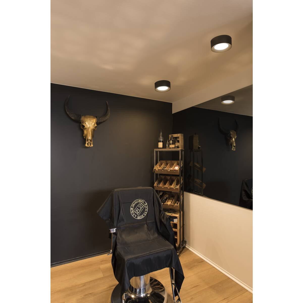 LA 1002968 FERA 25 CL DALI Indoor, stropní LED svítidlo, černé - BIG WHITE (SLV) (obrázek 6)