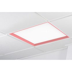 Obrázek pro produkt WINNER LED panel růžová 3000K opál DALI 37W čtverec - KOHL-Lighting