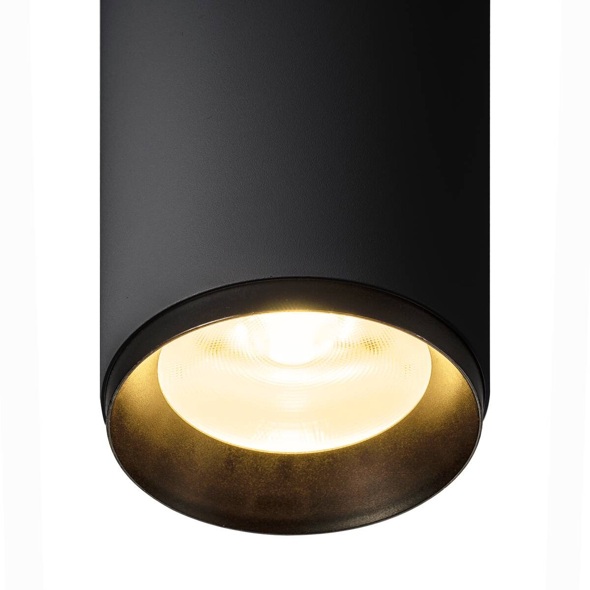 LA 1004588 NUMINOS® SPOT DALI L vnitřní LED přisazené stropní svítidlo černá/černá 3000 K 60° - BIG WHITE (SLV) (obrázek 4)