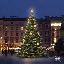 Obrázek pro produkt LED světelná sada na stromy vysoké 9-11m, teplá bílá s Flash, dekory EFD10WS2
