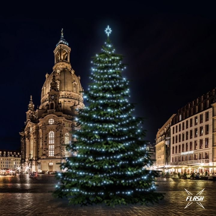 DLED TFS601 LED světelná sada na stromy vysoké 18-20m, ledová bílá s Flash
