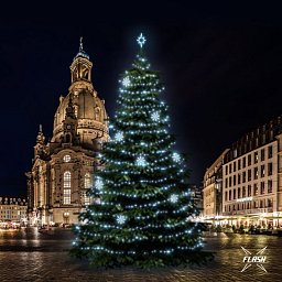 Obrázek pro produkt LED světelná sada na stromy vysoké 18-20m, ledová bílá s  Flash, dekory 8EFD08
