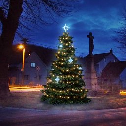 LED světelná sada na stromy vysoké 3-5m, teplá bílá s ledově bílými dekory EFD15S1 Obrázek pro produkt LED světelná sada na stromy vysoké 3-5m, teplá bílá s ledově bílými dekory EFD15S1
