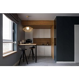 Obrázek pro produkt AKCE - Závěsné svítidlo Plec 40W E27 bílá/zlatá kov/sklo - MAYTONI