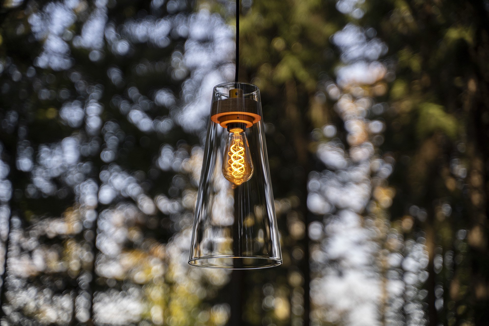 Levně YD EL-S-E27/CZT Závěsné svítidlo Element Easy Small | tmavý dub, zlatá patice, foukané sklo čiré - YOURDESIGN