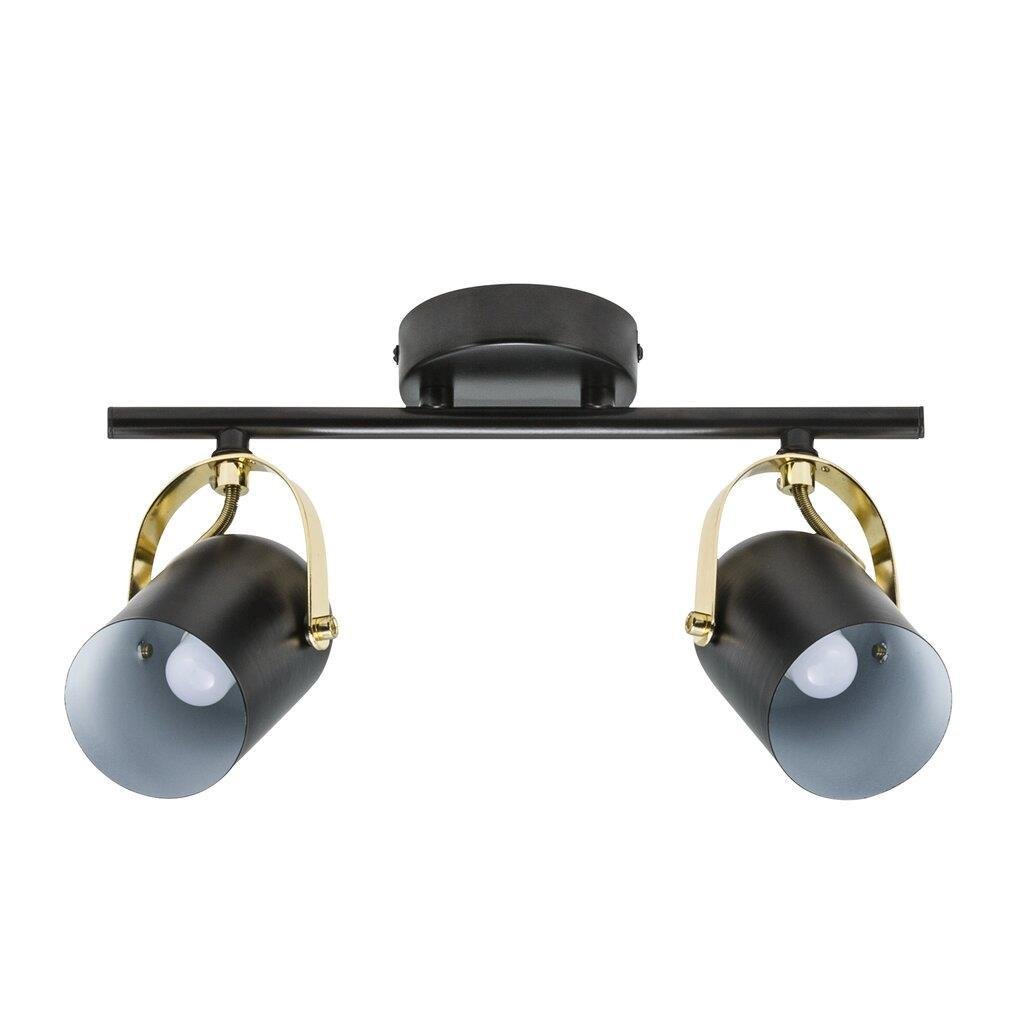 NOR 50110103 Bodové svítidlo Lotus 2x40W E14 černá mosaz - NORDLUX (obrázek 2)