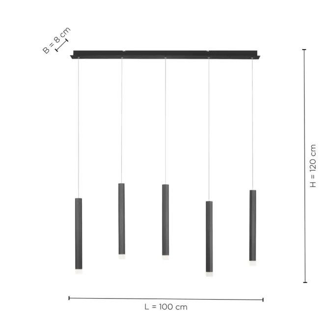 LD 15205-18 UKONČENA VÝROBA - BRUNO svítidlo závěsné černé 5x LED 4,8W 3000K IP20 - LEUCHTEN DIREKT / JUST LIGHT (obrázek 2)