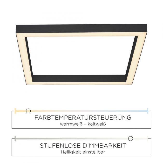 PN 6022-13 Stropní svítidlo PURE Lines LED 29W 2700-5000K IP20 antracit - PAUL NEUHAUS (obrázek 4)