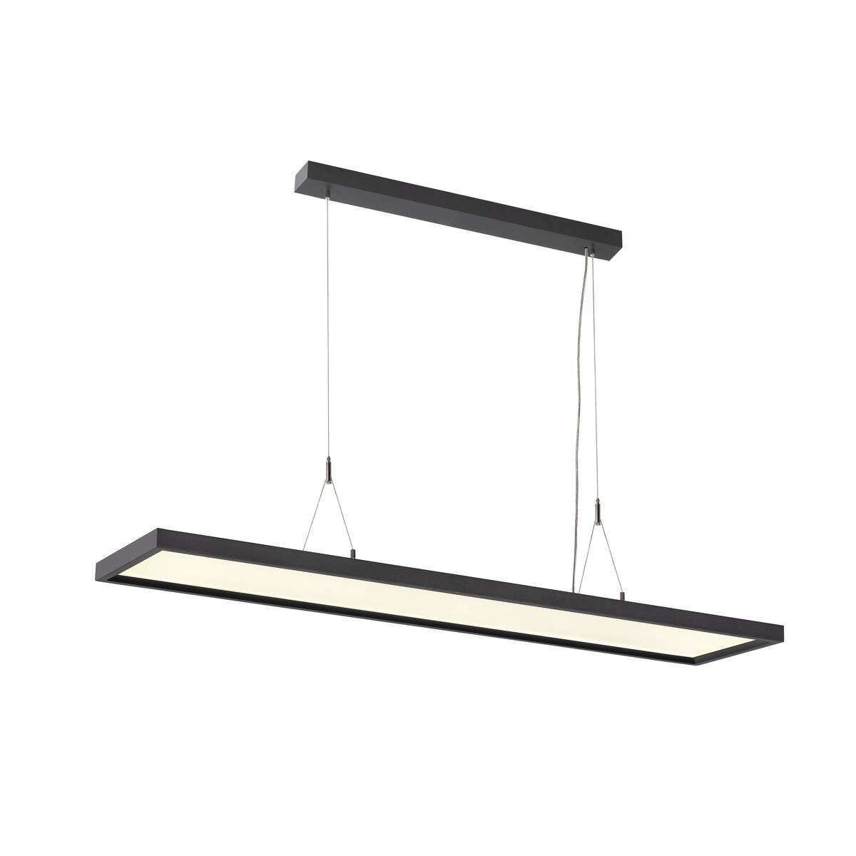 LA 1005395 WORKLIGHT DALI závěsné svítidlo černé 57 W 4000 K 80° - BIG WHITE (SLV)