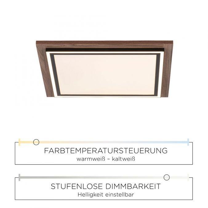 PN 6141-79 PALMA LED stropní svítidlo, imitace dřeva, stmívatelné, dálkový ovladač, CCT 2700-5000K - PAUL NEUHAUS (obrázek 4)