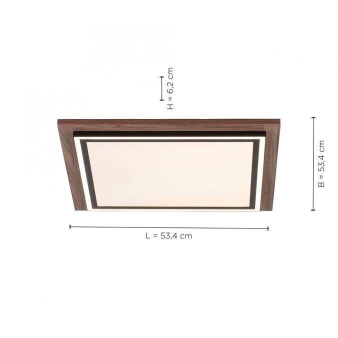 PN 6141-79 PALMA LED stropní svítidlo, imitace dřeva, stmívatelné, dálkový ovladač, CCT 2700-5000K - PAUL NEUHAUS (obrázek 5)